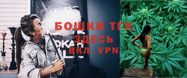 ешки Алексин