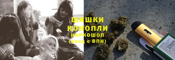 ешки Алексин
