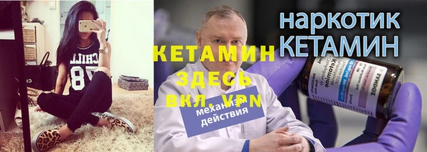 ешки Алексин